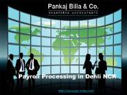 Payroll Processing Service in Delhi NCR (1)