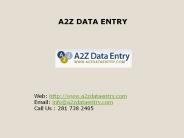 Data Entry Team