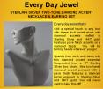 Every Day Jewel for Women PowerPoint PPT Presentation