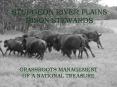STURGEON RIVER PLAINS BISON STEWARDS PowerPoint PPT Presentation