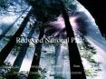 Redwood National Park PowerPoint PPT Presentation