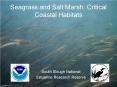 Seagrass and Salt Marsh: Critical Coastal Habitats PowerPoint PPT Presentation
