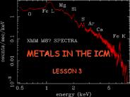 METALS IN THE ICM
