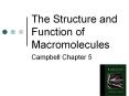 The Structure and Function of Macromolecules PowerPoint PPT Presentation