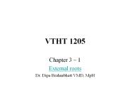 VTHT 1205