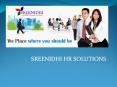 SREENIDHI HR SOLUTIONS PowerPoint PPT Presentation