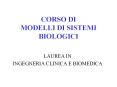 CORSO DI MODELLI DI SISTEMI BIOLOGICI PowerPoint PPT Presentation