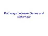 Pathways between Genes and Behaviour