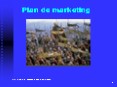 Plan de marketing PowerPoint PPT Presentation