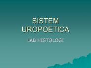 SISTEM UROPOETICA
