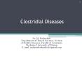 Clostridial Diseases PowerPoint PPT Presentation
