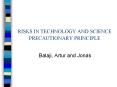 RISKS IN TECHNOLOGY AND SCIENCE PRECAUTIONARY PRINCIPLE PowerPoint PPT Presentation