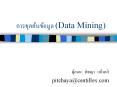 ??????????????? (Data Mining) PowerPoint PPT Presentation