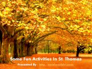 Some Fun Activities In St. Thomas
