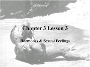 Chapter 3 Lesson 3