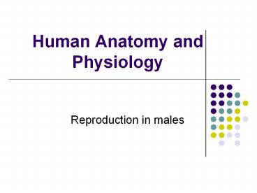 Human Anatomy and Physiology