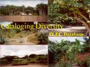 Cataloging Diversity