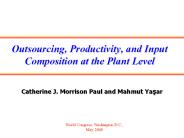 Outsourcing, Productivity, and Input Composition at the Plant Level