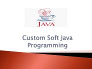Custom Soft Java Programming