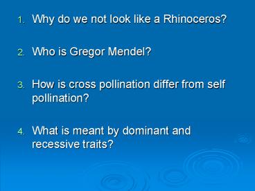 Why do we not look like a Rhinoceros?