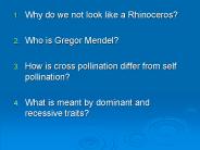 Why do we not look like a Rhinoceros?