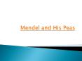 Mendel and His Peas PowerPoint PPT Presentation