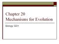 Chapter 20 Mechanisms for Evolution PowerPoint PPT Presentation