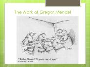 The Work of Gregor Mendel