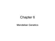 Mendelian Genetics