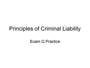 Principles%20of%20Criminal%20Liability