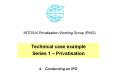 INTOSAI Privatisation Working Group (PWG) PowerPoint PPT Presentation