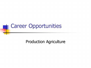 Career Opportunities