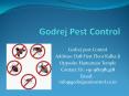Pest Control Noida-Call us to get discount (9811381458)