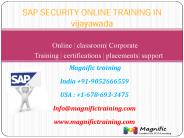 sap security online training in usa,uk