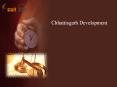 C.G Development PowerPoint PPT Presentation