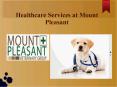 A Range of Pet Healthcare Services at Mount Pleasant PowerPoint PPT Presentation