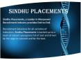 Sindhuplacements PowerPoint PPT Presentation