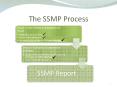 The SSMP Process PowerPoint PPT Presentation