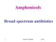 Amphenicols PowerPoint PPT Presentation