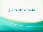 Facts about teeth