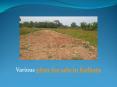 Various plots for sale in Kolkata (1)