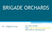 Brigade Orchards Devanahalli
