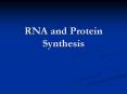 RNA and Protein Synthesis PowerPoint PPT Presentation
