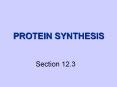 PROTEIN SYNTHESIS PowerPoint PPT Presentation