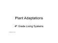 Plant Adaptations PowerPoint PPT Presentation