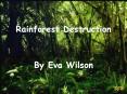 Rainforest Destruction PowerPoint PPT Presentation