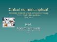Calcul numeric aplicat Dob PowerPoint PPT Presentation