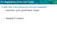 LEQ: Why is the eukaryotic cell cycle regulated? PowerPoint PPT Presentation