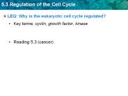 LEQ: Why is the eukaryotic cell cycle regulated?