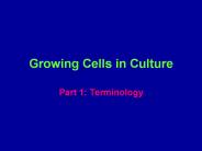 Growing Cells in Culture